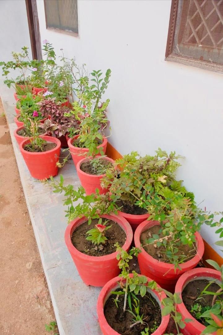 Backpackers Karma Home Stay Khajurāho Esterno foto